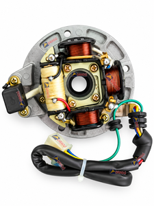 Conjunto de placa de bobina de estator para Bajaj KB 4S, nuevo modelo, calidad de exportación para repuestos de motocicletas, India, Orado - Product Image 1