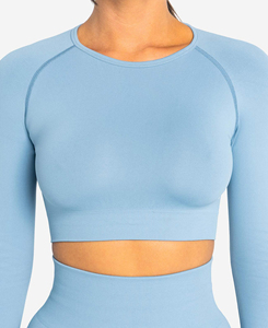 XL Size Women's Light <b>Blue</b> Long Sleeve <b>Crop</b> <b>Top</b> Solid Color Mesh Panel Seamless Yoga <b>Top</b> Breathable Skinny Fit Workout Wear - Product Image 5
