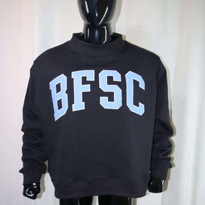 Sudadera con cuello simulado en blanco para serigrafía, estampado en relieve y bordado, de corte holgado y hombro caído, estilo universitario, para venta al por mayor, marca Cougs Letter - Product Image 3