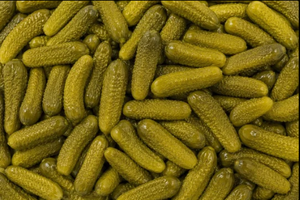 High-Quality Drum-<b>Packed</b> Gherkins for Food Processing & Export - Product Image 3