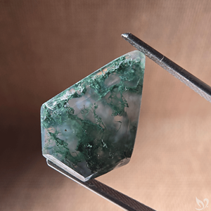 Agate mousse taillée pentagonale 5,08 carats avec inclusion verte, pierre précieuse en vrac pour sertissage de bijoux sur mesure - Product Image 2