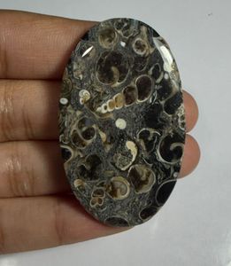 Lote al por mayor de cabujones de ágata TURRITELLA por peso con diferentes formas y tamaños utilizados para la fabricación de joyas, piedra TURRITELLA - Product Image 2