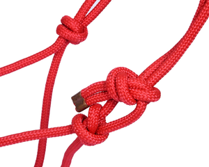 Camisas de equitación para mujer de alta calidad con los últimos diseños, material 100% original, cuero para cuerda de caballo, de secado rápido, estampadas, para exportación. - Product Image 2