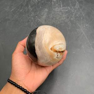 Esfera Grande de Jaspe Natural Pulido al por Mayor para Decoración del Hogar y Colección de Feng Shui - Product Image 6