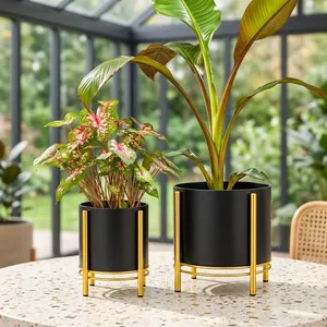Macetero Moderno de Metal Negro con Soporte Dorado, Elegante Porta Macetas para Interiores, para Sala de Estar, Oficina, Dormitorio, Balcón y Ambientes de Lujo - Product Image 6