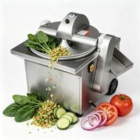 Industriële machine voor het snijden van kool, courgette, wortelen en aardappelen van roestvrij staal, elektrische groentesnijder