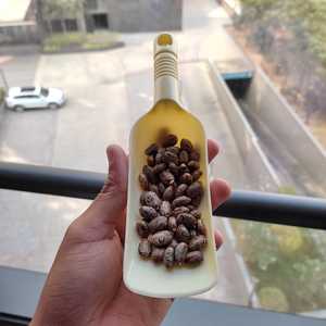 Semillas de Ricino Naturales AD ECO, 50-60% de Contenido de Aceite, 29% de Proteína, Certificación HACCP, Biocombustible de Belleza, Gujarat - Product Image 2