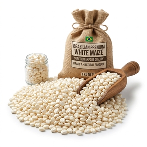 Brazilian White Corn Premium Quality White Maize Grain Non GMO Food Grade High Energy Fiber Rich Healthy Corn Bulk Wholesale - Product Image 3