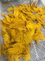 Bâtonnets de mangue séchée moelleuse de qualité supérieure, en vrac, pour l'exportation, fabriqués à partir de mangues fraîches et mûres