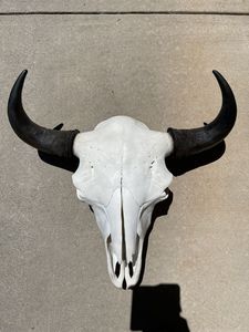 Tête de buffle en corne naturelle à fixer au mur, toucher réel, décoration moderne en corne d'animal, œuvre d'art décorative pour l'intérieur, design pour la maison - Product Image 3