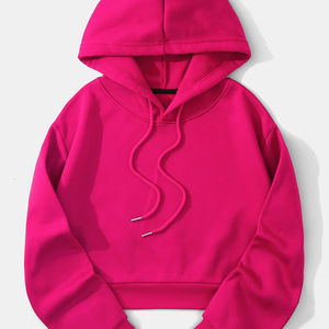 เสื้อฮู้ดครอปท็อปผู้หญิงแบบถักลายวินเทจ แขนยาว บุซับในอุ่นสำหรับฤดูหนาว ดีไซน์ใหม่ ขายส่ง ป้องกันขนร่วง โลโก้ด้านหน้า รับผลิตแบบ ODM จากโรงงาน - Product Image 1