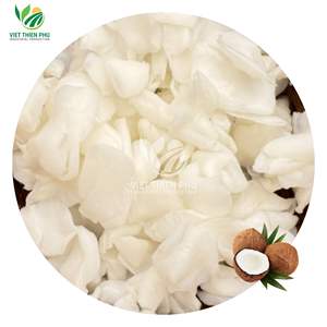 VIET THIEN PHU WHITE NATA DE COCO – MATIÈRE PREMIÈRE POUR LA LÉSIONNATION ALIMENTAIRE - Product Image 1