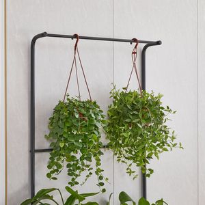 Étagère à fleurs multifonctionnelle à 3 niveaux pour l'intérieur et l'extérieur, étagères en forme d'échelle, support de présentation suspendu pour le salon, pour l'intérieur et l'extérieur - Product Image 6