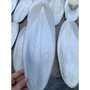 First Grade Dried Cuttlefish Bone VF Natural Bird Cage Accessory For Professional Pet Suppliers Parrot Breeders And <b>Aviaries</b> - Product Image 1