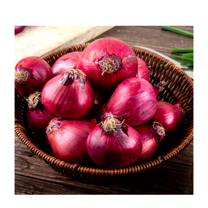 Oignons Rouges Frais en Gros de Haute Qualité 100% Naturels, Forts et Savoureux, Bulbes d'Oignon Ferme et Croustillants pour la Distribution Mondiale aux Acheteurs - Product Image 3