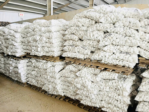 Piedra de Canto Rodado Blanca Premium de Vietnam - Piedra Natural de Río para Paisajismo - Product Image 5