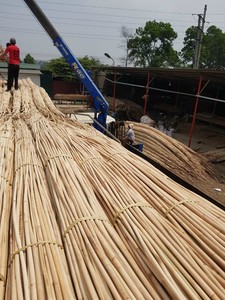 ดอกบัวสีน้ำเงินจากเวียดนามขายดีแกนหวายเป็นวัสดุที่ยั่งยืนและเป็นธรรมชาติสำหรับการใช้งานกลางแจ้งแบบดั้งเดิมที่ทันสมัย - Product Image 2