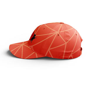 Casquette de baseball classique sportive unisexe à logo personnalisé, prix de gros abordable, casquette de camionneur imprimée à visière basse, tendance et de haute qualité - Product Image 2