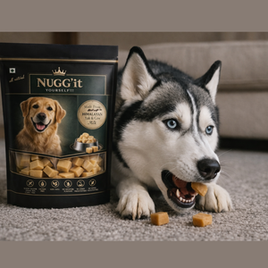 Friandises à mâcher pour chiens au lait de yak de l'Himalaya OEM ODM, Nuggets riches en protéines, saveur longue durée, pour la santé des articulations et dentaire, approvisionnement en vrac - Product Image 2