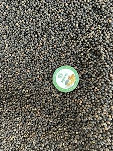 Especias de pimienta negra blanca de Vietnam de alta calidad Variedades de hierbas individuales Calidad de exportación cruda seca Directo al por mayor Proveedor confiable - Product Image 4