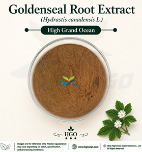 สารสกัดจากรากโกลด์ซีล (Hydrastis canadensis L.) จากโรงงาน HGO โดยตรง เกรดอาหาร อัตราส่วน 4:1 5:1 10:1 20:1 100:1 200:1 - Product Image 1