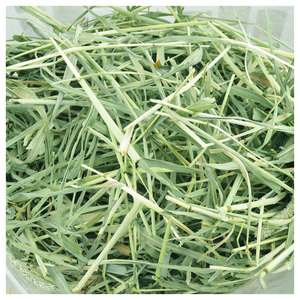 Heno Natural de Timothy para Conejos y Cobayas, Compra al por Mayor, Ofertas a Nivel Mundial - Product Image 4