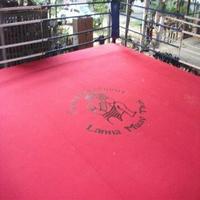 Housse de protection pour ring de boxe, tapis de sol durable en tissu de coton, surface d'entraînement professionnelle, taille personnalisée