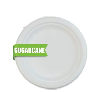 Assiettes en papier biodégradable en bagasse de canne à sucre 10 pouces, compostables, résistantes, jetables, écologiques, blanches, pour fêtes, lot de 100 - Product Image 1