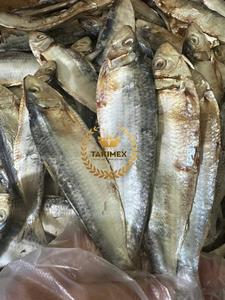 Vente en gros de hareng séché sprats sardinelle bon prix anchois avec un excellent goût séché au soleil poisson pour animaux de compagnie du Vietnam - Product Image 5