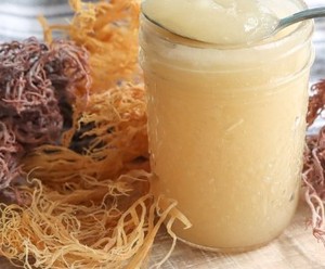 Musgo Marino Seco al por Mayor con Sal Hecho en Vietnam, Humedad 35%, Ceniza 3%, Exportación Estándar, Etiqueta OEM, Suministro Estable - Product Image 4