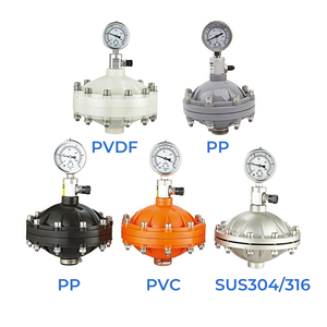 Amortisseur de pulsations de type diaphragme LGMZ-P1L PVDF/PP/PVC/SUS304/SUS316 avec réservoir sous pression pour pompe doseuse, garantie 1 an - Product Image 6