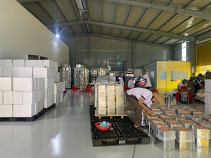 Noix de cajou grillées séchées de qualité supérieure sans peau - Boîte de 10 kg Emballage en vrac Noix de cajou du Vietnam Prêtes à l'emploi - Product Image 5