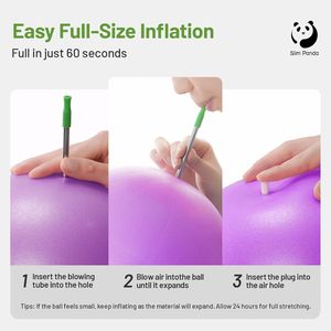 9 Inch Small Pilates Ball Anti-Burst Yoga Stability Workout Ball Core Strength <b>Physical</b> Therapy Exercise Tool Barre Core - Product Image 3