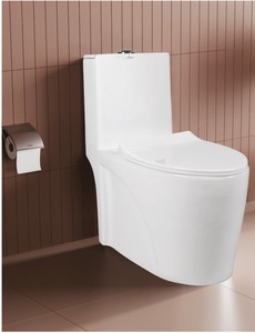 ONE PIECE CLOSET WITH 665X340X745mm WASH DOWN FLUSH DUAL FLUSH SOFT CLOSE <b>SEAT</b> COVER S TRAP 225mm - Product Image 3