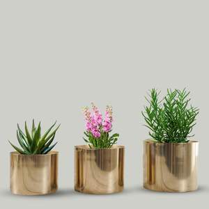 Maceta de Hierro con Forma de Cafetera, Estilo Pastoral, Colorida, Diseño 2026, Decoración para el Hogar, Maceta para Flores Artificiales - Product Image 2