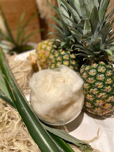Fibra de hoja de piña ecológica para una vida sostenible y la moda - Product Image 3