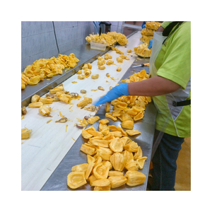 Jacquiera Seca Natural de Vietnam, Producida a partir de Frutos Maduros Seleccionados para Ingredientes Alimenticios y Distribución al por Mayor - Product Image 3