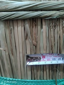 Herbe de mer naturelle pour tapis et moquettes, longueur 1,7 m, fibres séchées, exportateur, haute qualité, prix de gros 31 ANGLE - Product Image 3