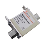 FNH000GR69V125PV 690V 125A Fusible à haute vitesse taille 000 HRC, corps carré, protection semi-conductrice AR pour onduleur