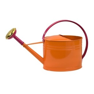 Regadera de metal rústica tradicional para decoración de jardín en casa con estilo campestre - Product Image 5