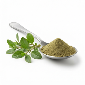 Extracto de Boerhavia Diffusa Punarnava en Polvo, Proveedor de Extractos Herbales Botánicos al Por Mayor a Precio de Mayoreo - Product Image 2