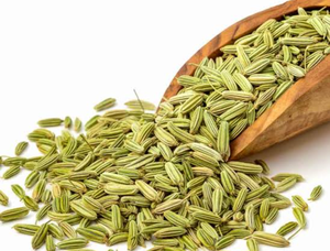 Terra Bio Naturals, Aceite Puro de Semillas de Hinojo 2026, el Más Vendido, con Empaque de Tamaño Personalizado para OEM/ODM por Fabricantes y Exportadores Indios - Product Image 6