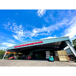 Haute qualité Dewoo usine ACC panneau contreplaqué mélamine Film porte pour cuisine chambre meubles prix raisonnable directement Vietnam - Product Image 6