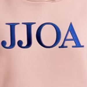 เสื้อฮู้ดปักลายพัฟ 3 มิติ สีชมพูสำหรับเด็กผู้หญิง เสื้อแขนยาวลำลอง สวมใส่สบายทุกวัน เสื้อผ้าสไตล์ไลฟ์สไตล์ - Product Image 3