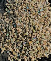 Opales brunes fantaisie naturelles brutes, pierres précieuses irrégulières, couleur naturelle irisée pour la fabrication de bijoux