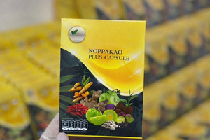 แคปซูลสารสกัดสมุนไพรเชบูลิค มิโรบาลาน ผลิตภัณฑ์เสริมอาหาร แบบฟรีซดราย เก็บเกี่ยวจากธรรมชาติ - Product Image 2