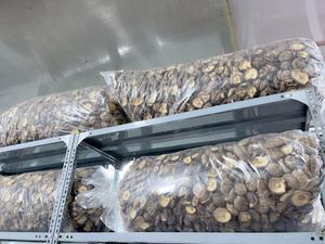 Hongo Shiitake seco orgánico de alta calidad-Producto vegano Todo natural sin aditivos sin productos químicos sin gluten/ Lima - Product Image 4