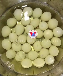 ไข่นกกระทากระป๋อง ได้รับการรับรองมาตรฐาน HACCP สดใหม่ 100% และปรุงสุก คุณภาพส่งออกระดับพรีเมียม คุณเมย์ - Product Image 2