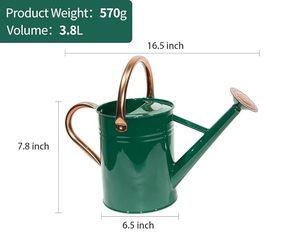 Arrosoir vintage en métal vert avec poignées en cuivre, pommeau de douche, pot à eau classique en acier galvanisé pour plantes d'intérieur et d'extérieur - Product Image 6