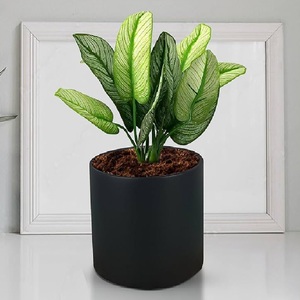 Traditional Design <b>Set</b> of <b>3</b> Modern Copper Iron Handcrafted Tabletop Flower <b>Vases</b> for Home & Office Decoration Wedding Gift - Product Image 3